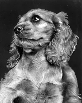 Susi - looking serious