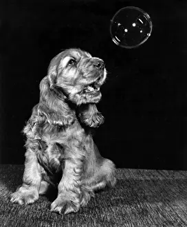 Bubble Prints: Susi - looking at a bubble