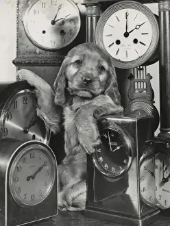 Susi Prints: Susi - with a lot of clocks