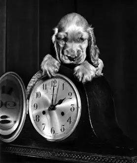 Susi - with a mantel clock