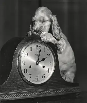 Susi - with a mantel clock
