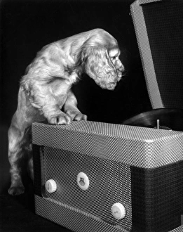 Images Dated 22nd March 2016: Susi - with record player