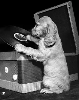 Images Dated 23rd December 2015: Susi - with record player
