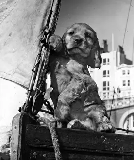 Susi - on a sailing boat