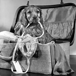 Susi - with suitcase of clothes