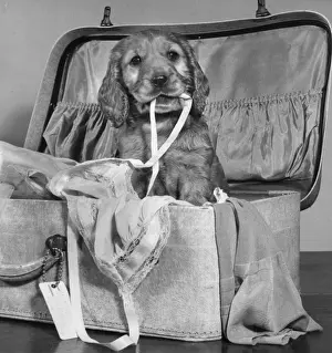 Susi - with suitcase of clothes
