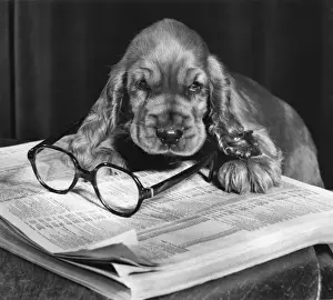 Directory Prints: Susi - with telephone directory and glasses