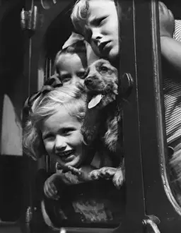 Spaniels Prints: Susi in a train with three children