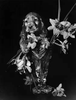 Susi - with vase of daffodils