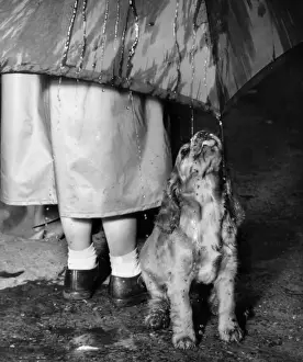 Susi - walking in the rain