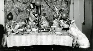 Doggy Prints: Susi's doggy friends having a party