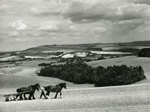 The Sussex Downs