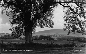 Downs Prints: The Sussex Downs near Alfriston