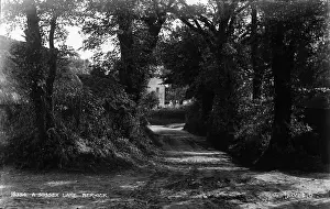Berwick Prints: A Sussex Lane, Berwick