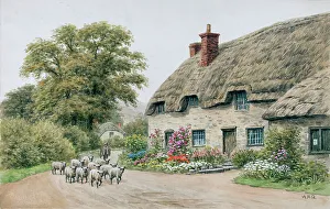 Sutton Poyntz, near Weymouth, Dorset