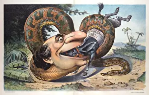 Swallowed