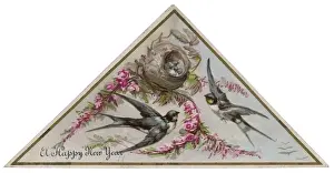 Swallows Prints: Swallows on Card
