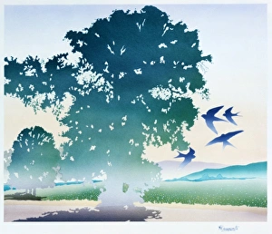 Beautiful Landscapes Gallery: Swallows in a fantasy landscape
