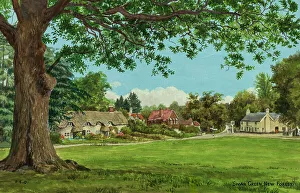 Swan Green, Lyndhurst, New Forest, Hampshire