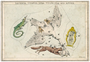 Anser Gallery: Swan Etc Star Map