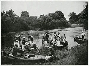 Images Dated 14th November 2017: Swan Upping on the Thames 1900