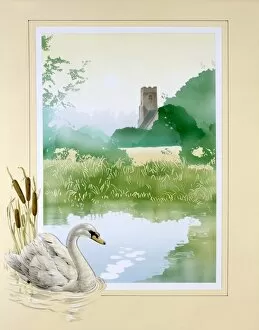 Beautiful Landscapes Gallery: Swan and a village pond