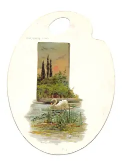 Reeds Prints: Swan on the water on a palette-shaped greetings card