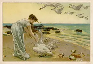 The Six Swans Havers