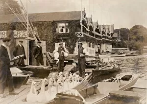 Tradition Collection: Swans in a punt at Henley