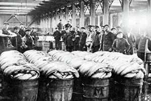 Swansea Fish Wharf