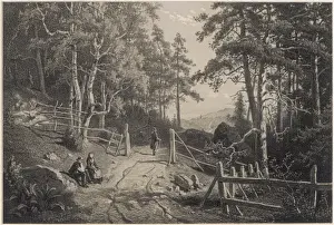 Sweden / Scenery / Skogen