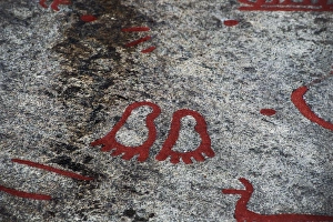 Swede Gallery: SWEDEN. Tanum. Litsleby rock. Feet. Bronze Age