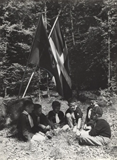 Swede Gallery: Swedish Cub Scouts and Flags