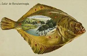 The Sweet Waters of Asia Minor, Constantinople