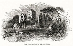 Images Dated 17th May 2019: Sweetheart Abbey, Kirkcudbright, Scotland
