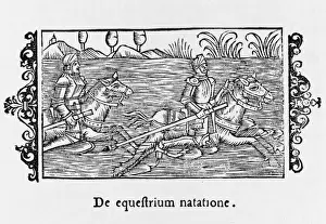 Sc Andinavian Prints: Swim River in Armour
