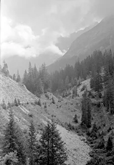 Swiss Alps: alpine view