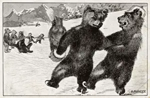 Bears Prints: The Swiss Bears of Bern skating on the ice