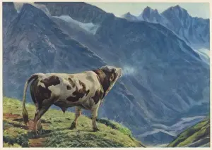 Swiss Prints: Swiss Cow Lowing