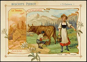 Dairy Prints: Swiss Dairy Farm