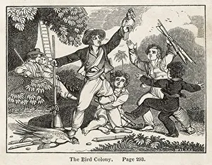 SWISS FAMILY ROBINSON