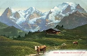 Images Dated 27th July 2011: Swiss Scenery - Eiger, Monch and Jungfrau