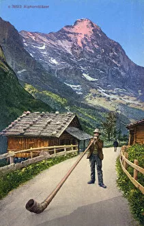 Enormous Collection: Switzerland - Alpenhorn