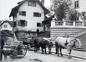 Switzerland - milk cart and ox cart