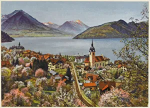 Switzerland Gallery: Switzerland / Vitznau C20