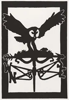 Swoop Prints: Swooping owl weathervane
