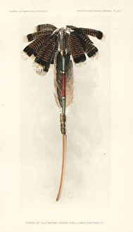 Ethnography Collection: Sword of the Thle wekwe, Sword Swallower Fraternity
