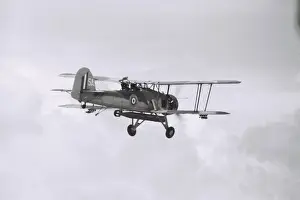 Swordfish at Greenham Common