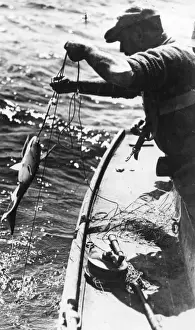 Sword Fish Prints: Swordfishing