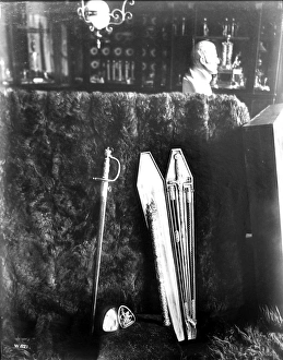 Apsley Collection: Swords of Napoleon and Wellington, Apsley House, 19th centur